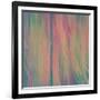 Pines-Ursula Abresch-Framed Photographic Print