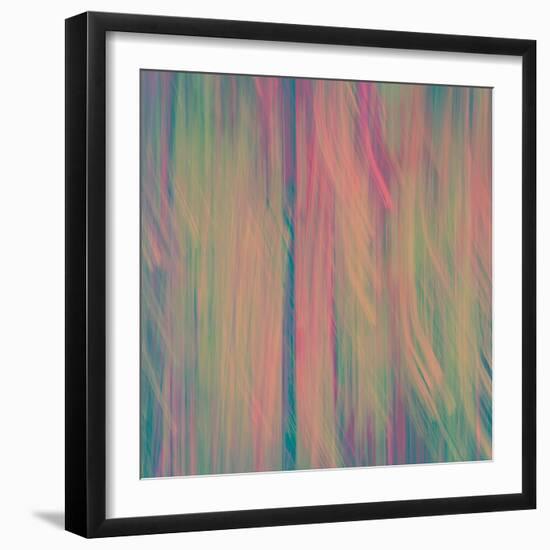 Pines-Ursula Abresch-Framed Photographic Print