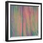 Pines-Ursula Abresch-Framed Photographic Print