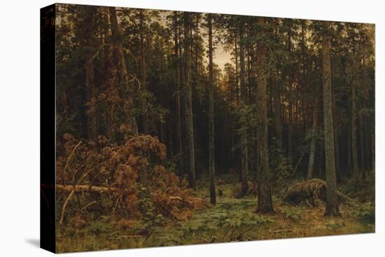 Pinewood, 1885-Ivan Ivanovich Shishkin-Stretched Canvas