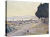 Pinewood, St. Tropez, Bois de Pins-St Tropez-Paul Signac-Stretched Canvas