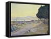 Pinewood, St. Tropez-Paul Signac-Framed Stretched Canvas