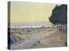 Pinewood, St. Tropez-Paul Signac-Stretched Canvas