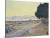 Pinewood, St. Tropez-Paul Signac-Stretched Canvas