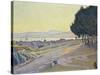 Pinewood, St. Tropez-Paul Signac-Stretched Canvas