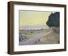 Pinewood, St. Tropez-Paul Signac-Framed Giclee Print