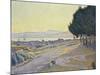 Pinewood, St. Tropez-Paul Signac-Mounted Giclee Print