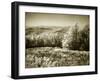 Piney Mountain II-Alan Hausenflock-Framed Photographic Print