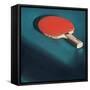 Ping Pong Paddle-Julia-Framed Stretched Canvas