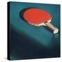 Ping Pong Paddle-Julia-Stretched Canvas