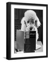 Ping Pong to the Poodle, 1958-George Greenwell-Framed Photographic Print