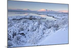 Pingvallavatn Lake with the Shore and Distant Mountains Covered in Snow-Lee Frost-Mounted Photographic Print