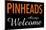 Pinheads Always Welcome-null-Mounted Poster