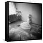 Pinhole Camera Shot of Sitting Topless Woman in Hoop Skirt-Rafal Bednarz-Framed Stretched Canvas