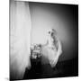 Pinhole Camera Shot of Standing Topless Woman in Hoop Skirt-Rafal Bednarz-Mounted Photographic Print