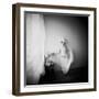 Pinhole Camera Shot of Standing Topless Woman in Hoop Skirt-Rafal Bednarz-Framed Photographic Print