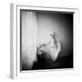 Pinhole Camera Shot of Standing Topless Woman in Hoop Skirt-Rafal Bednarz-Framed Photographic Print