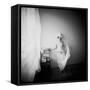 Pinhole Camera Shot of Standing Topless Woman in Hoop Skirt-Rafal Bednarz-Framed Stretched Canvas