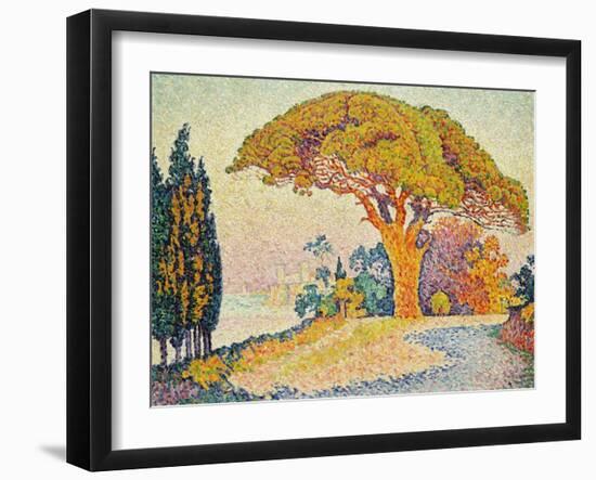 Pinie bei Bertraud, Saint-Tropez (Provence). Le Pin de Bertaud, Saint-Tropez (Provence)-Paul Signac-Framed Giclee Print