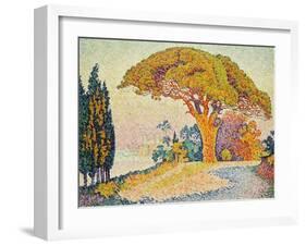 Pinie bei Bertraud, Saint-Tropez (Provence). Le Pin de Bertaud, Saint-Tropez (Provence)-Paul Signac-Framed Giclee Print