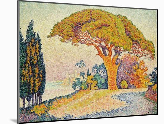 Pinie bei Bertraud, Saint-Tropez (Provence). Le Pin de Bertaud, Saint-Tropez (Provence)-Paul Signac-Mounted Giclee Print