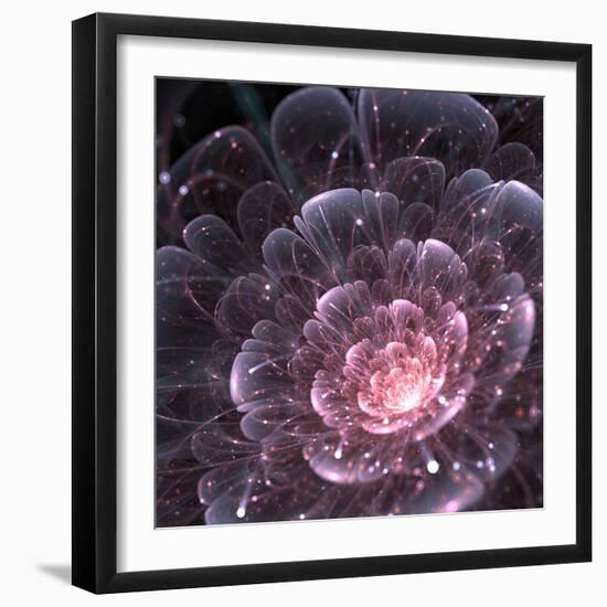 Pink abstract flower with sparkles on black background, fractal illustration-Anikakodydkova-Framed Art Print