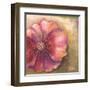 Pink Accent I-Patricia Pinto-Framed Art Print