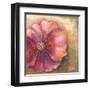 Pink Accent I-Patricia Pinto-Framed Art Print