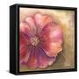 Pink Accent I-Patricia Pinto-Framed Stretched Canvas