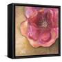 Pink Accent II-Patricia Pinto-Framed Stretched Canvas