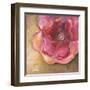 Pink Accent II-Patricia Pinto-Framed Art Print