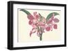 Pink Amaryllis-null-Framed Art Print