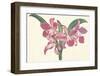 Pink Amaryllis-null-Framed Art Print