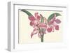 Pink Amaryllis-null-Framed Art Print