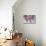 Pink and Blue I Crop-Silvia Vassileva-Mounted Art Print displayed on a wall