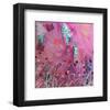 Pink and Blue-Claire Westwood-Framed Art Print