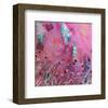 Pink and Blue-Claire Westwood-Framed Art Print