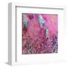 Pink and Blue-Claire Westwood-Framed Art Print