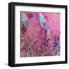 Pink and Blue-Claire Westwood-Framed Art Print