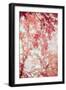 Pink and Coral Maple Leaves-Brooke T. Ryan-Framed Photographic Print