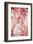 Pink and Coral Maple Leaves-Brooke T. Ryan-Framed Photographic Print