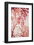 Pink and Coral Maple Leaves-Brooke T. Ryan-Framed Photographic Print