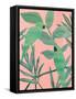 Pink and Green Birds of Paradise I-Annie Warren-Framed Stretched Canvas