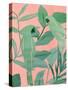 Pink and Green Birds of Paradise II-Annie Warren-Stretched Canvas