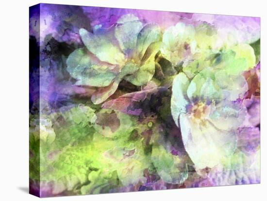 Pink and Green Floral Abstract-Dorothy Berry-Lound-Stretched Canvas