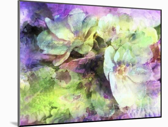 Pink and Green Floral Abstract-Dorothy Berry-Lound-Mounted Giclee Print