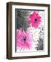 Pink and Grey Flowers-Jodi Pedri-Framed Art Print