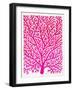 Pink and Ombre Fan Coral-Cat Coquillette-Framed Giclee Print