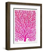 Pink and Ombre Fan Coral-Cat Coquillette-Framed Giclee Print