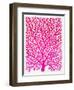 Pink and Ombre Fan Coral-Cat Coquillette-Framed Giclee Print